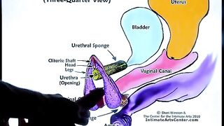 The second part of the squirting tutorial by Mr. PussyLicking is now available!