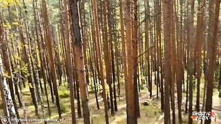 Brunette bitch gets banged hard in the woods