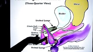 How to squirt? The ultimate guide by Mr. PussyLicking, featuring the most intense 60fps HD action!