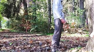 A flash of cock in the park, a hard titty fuck awaited