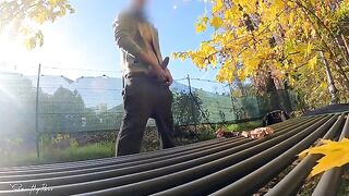 A flash of cock in the park, a hard titty fuck awaited