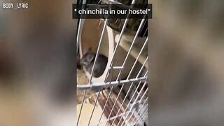 A couple has sex in a capsule hostel and then continues their journey