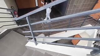 Latina chick with perfect ass gets fucked in the elevator