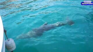A hot girl is fucking with her boyfriend on a boat in nature