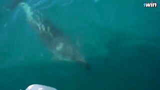 A hot girl is fucking with her boyfriend on a boat in nature