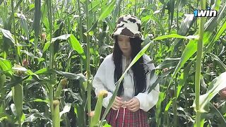 A security guard caught a thief in a cornfield and issued a ticket on the spot