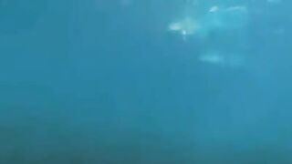 Underwater sex of two aqualangists at the bottom of the sea