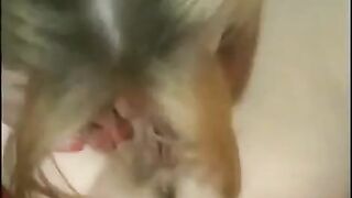 The appetizing girls arranged an erotic sex games with their sweet wonders