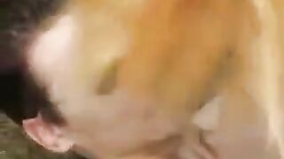 Skinny teen made a blowjob in the park and got fucked hard