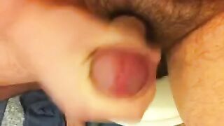 A model has sex with a guy on a webcam in a private setting