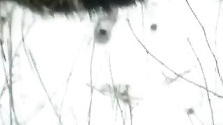 Girl makes a blowjob on the street during the winter season