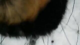Girl makes a blowjob on the street during the winter season