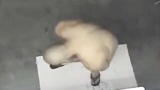 A spy camera captured a naked man in the shower, showcasing a steamy scene