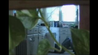 A married couple has no shame and walks around naked in their apartment