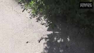 A cute teen gets fucked on a new couch in a new country