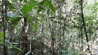A breath of fresh air and the warmth of her lips on my dick outdoors