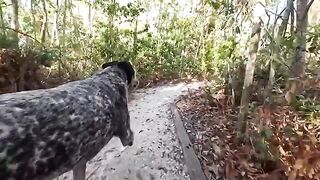 A girl has fun with a guy in the jungle, getting intimate