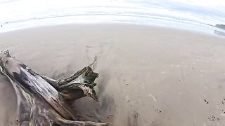 The girl made a blowjob on the beach, right in the water