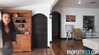 A cunning brunette real estate agent succeeds in convincing a picky client to buy a house